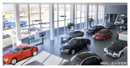 8200萬汽車消費券成功發放，汽車銷售行業或迎新爆發